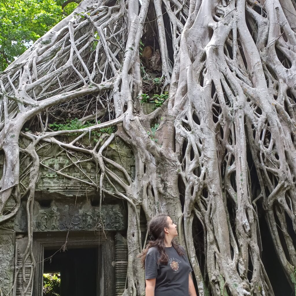 come organizzare un viagio in Cambogia, Angkor Wat