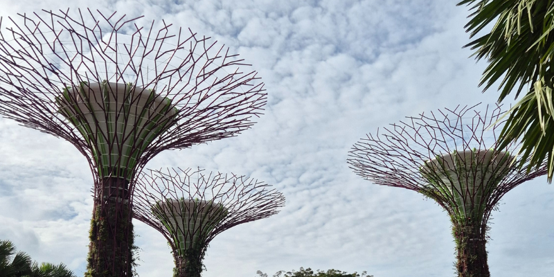 Scalo A Singapore Cosa Fare Viaggi Persi Scalo A Singapore Cosa Fare Viaggi Persi