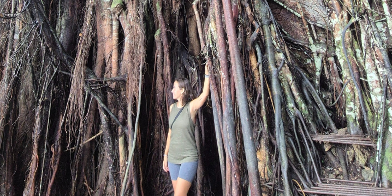 albero di balete siquijor