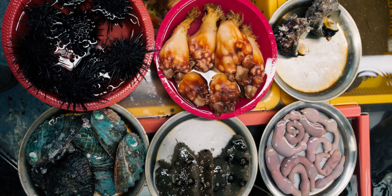 cosa vedere a busan mercato jagalchi