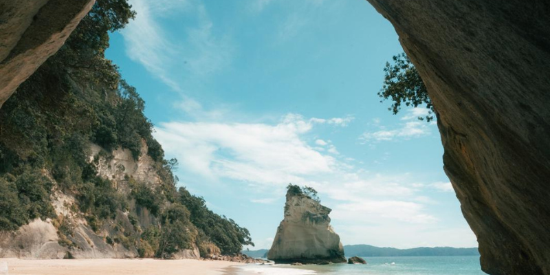 cathedral cove, isola del nord